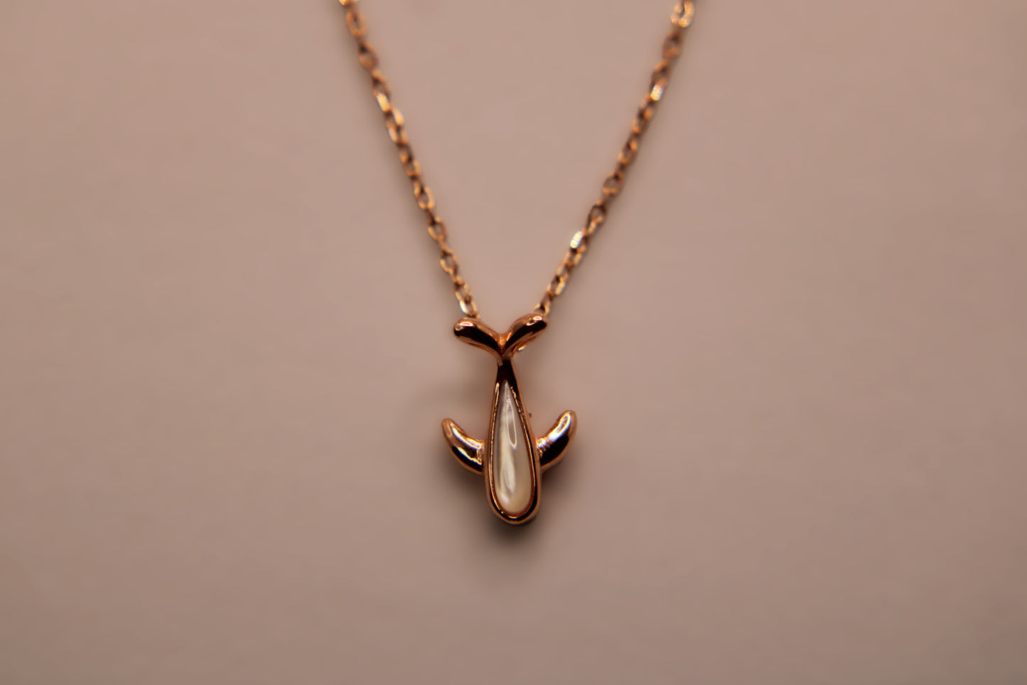 Silver Fish Pendant Chain