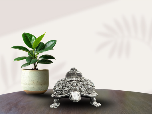 Divine Vastu Tortoise With Shri Yantra Design